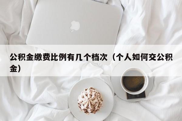 公积金缴费比例有几个档次（个人如何交公积金）