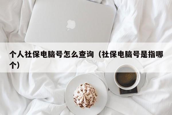 个人社保电脑号怎么查询（社保电脑号是指哪个）