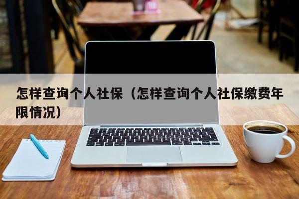 怎样查询个人社保（怎样查询个人社保缴费年限情况）