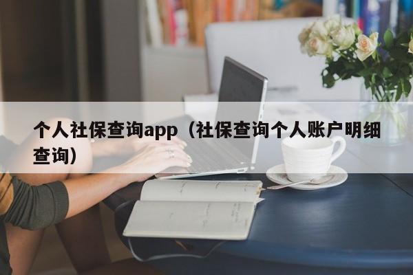 个人社保查询app（社保查询个人账户明细查询）