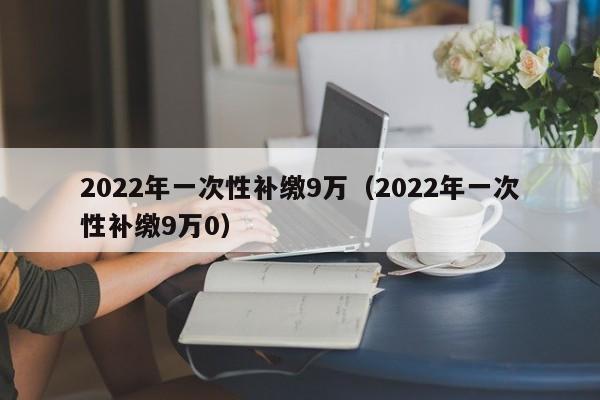 2022年一次性补缴9万（2022年一次性补缴9万0）