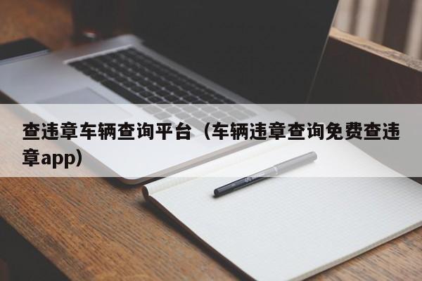 查违章车辆查询平台（车辆违章查询免费查违章app）