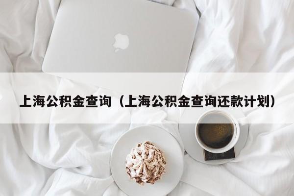 上海公积金查询（上海公积金查询还款计划）