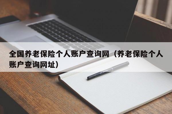 全国养老保险个人账户查询网（养老保险个人账户查询网址）