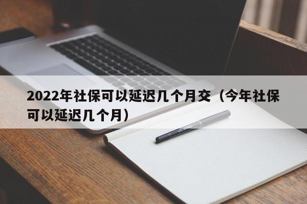 2022年社保可以延迟几个月交（今年社保可以延迟几个月）