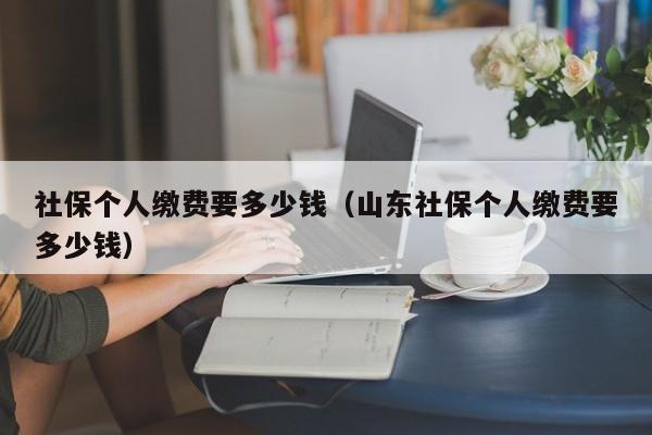 社保个人缴费要多少钱（山东社保个人缴费要多少钱）