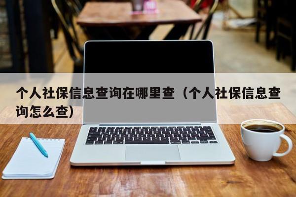 个人社保信息查询在哪里查（个人社保信息查询怎么查）