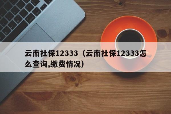 云南社保12333（云南社保12333怎么查询,缴费情况）