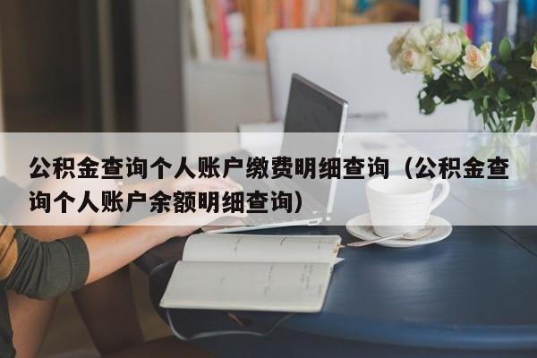 公积金查询个人账户缴费明细查询（公积金查询个人账户余额明细查询）