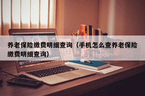 养老保险缴费明细查询（手机怎么查养老保险缴费明细查询）