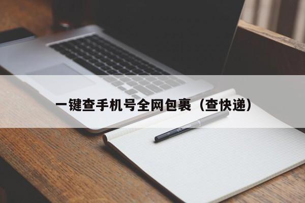 一键查手机号全网包裹（查快递）