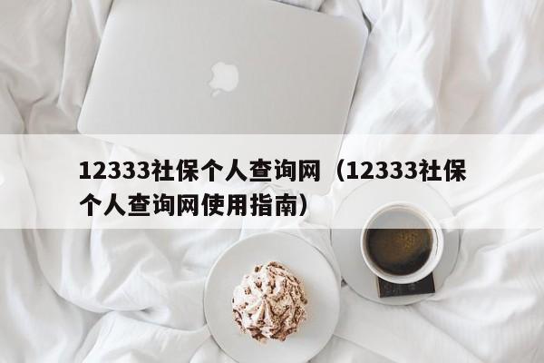 12333社保个人查询网（12333社保个人查询网使用指南）