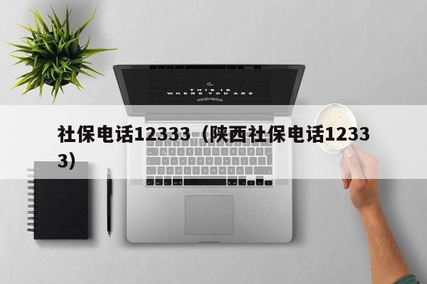 社保电话12333（陕西社保电话12333）