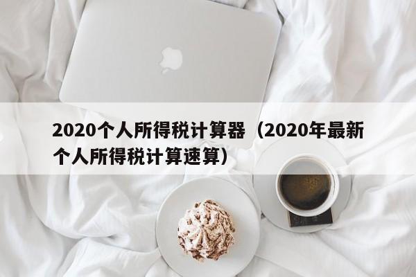 2020个人所得税计算器（2020年最新个人所得税计算速算）