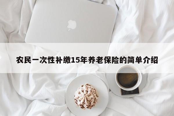 农民一次性补缴15年养老保险的简单介绍