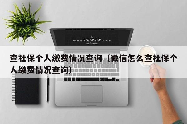 查社保个人缴费情况查询（微信怎么查社保个人缴费情况查询）