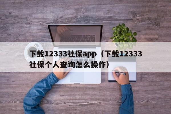 下载12333社保app（下载12333社保个人查询怎么操作）