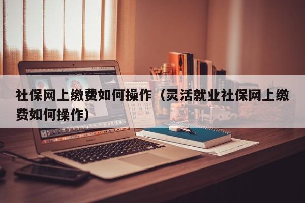 社保网上缴费如何操作（灵活就业社保网上缴费如何操作）