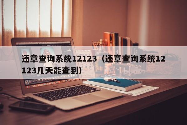 违章查询系统12123（违章查询系统12123几天能查到）