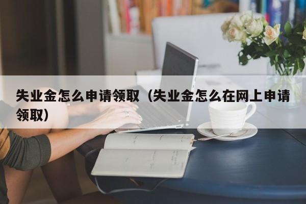 失业金怎么申请领取（失业金怎么在网上申请领取）