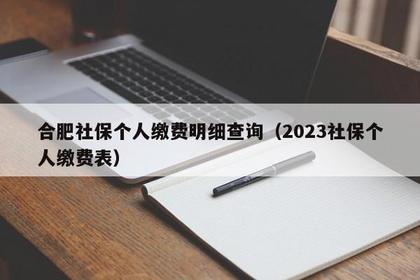 合肥社保个人缴费明细查询（2023社保个人缴费表）