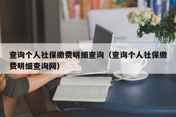 查询个人社保缴费明细查询（查询个人社保缴费明细查询网）