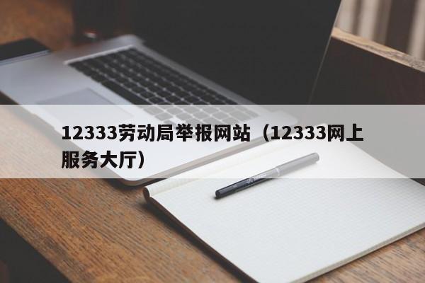 12333劳动局举报网站（12333网上服务大厅）