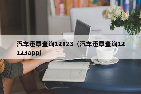 汽车违章查询12123（汽车违章查询12123app）