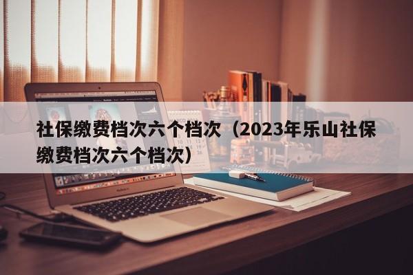 社保缴费档次六个档次（2023年乐山社保缴费档次六个档次）