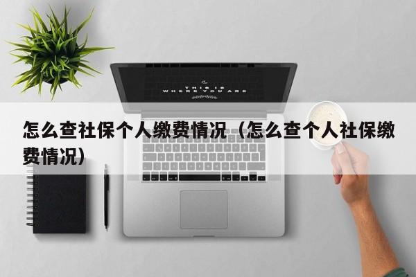 怎么查社保个人缴费情况（怎么查个人社保缴费情况）