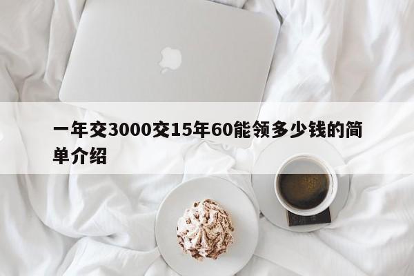 一年交3000交15年60能领多少钱的简单介绍