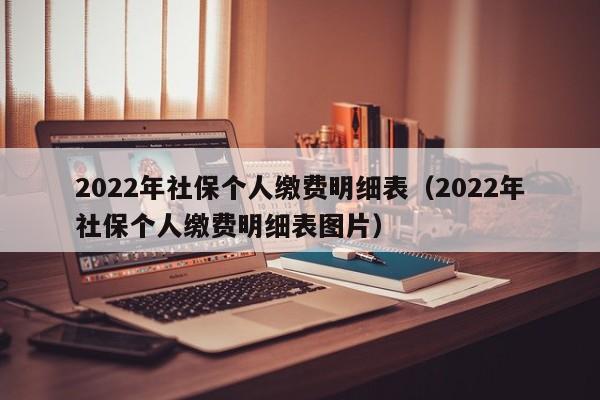 2022年社保个人缴费明细表（2022年社保个人缴费明细表图片）