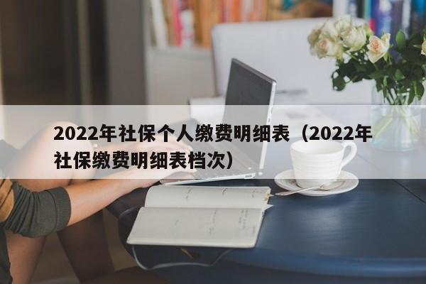 2022年社保个人缴费明细表（2022年社保缴费明细表档次）