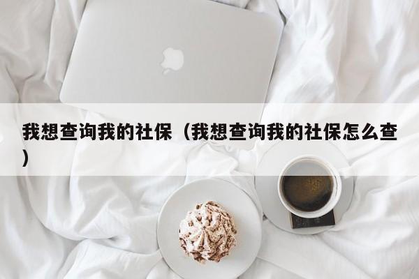 我想查询我的社保（我想查询我的社保怎么查）