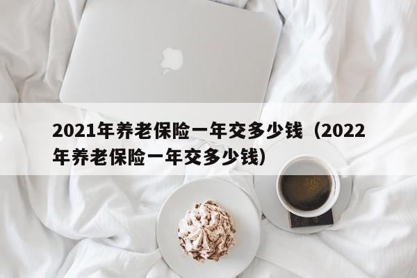 2021年养老保险一年交多少钱（2022年养老保险一年交多少钱）