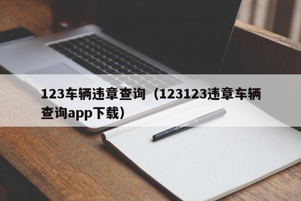 123车辆违章查询（123123违章车辆查询app下载）