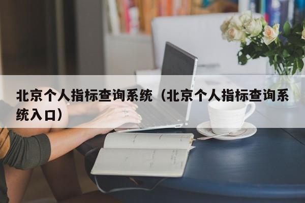 北京个人指标查询系统（北京个人指标查询系统入口）