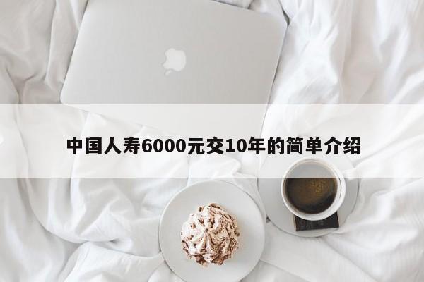 中国人寿6000元交10年的简单介绍