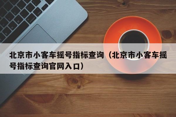 北京市小客车摇号指标查询（北京市小客车摇号指标查询官网入口）