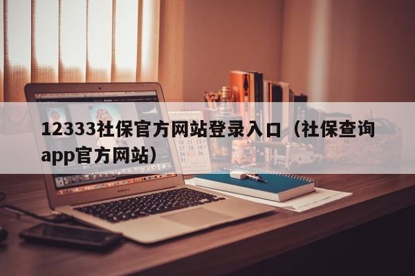 12333社保官方网站登录入口（社保查询app官方网站）