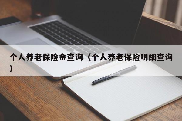 个人养老保险金查询（个人养老保险明细查询）