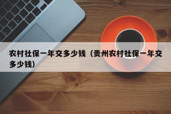 农村社保一年交多少钱（贵州农村社保一年交多少钱）