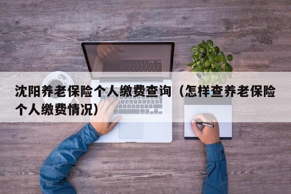 沈阳养老保险个人缴费查询（怎样查养老保险个人缴费情况）