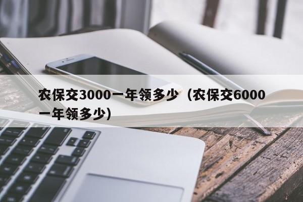 农保交3000一年领多少（农保交6000一年领多少）