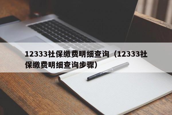 12333社保缴费明细查询（12333社保缴费明细查询步骤）