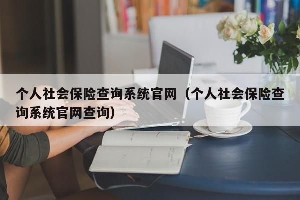 个人社会保险查询系统官网（个人社会保险查询系统官网查询）