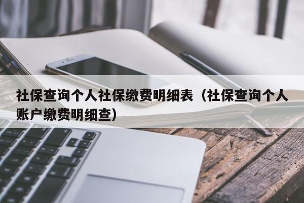 社保查询个人社保缴费明细表（社保查询个人账户缴费明细查）