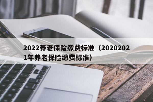 2022养老保险缴费标准（20202021年养老保险缴费标准）