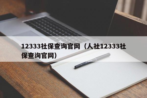 12333社保查询官网（人社12333社保查询官网）