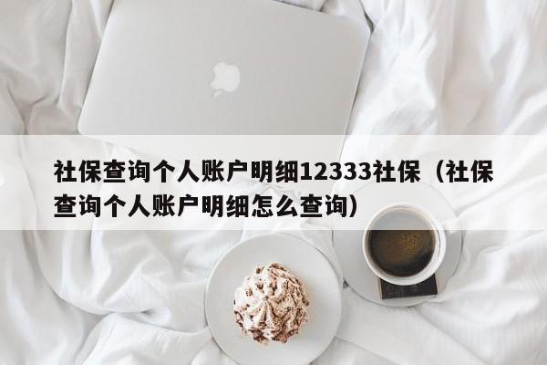 社保查询个人账户明细12333社保（社保查询个人账户明细怎么查询）